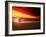 Dog at Sunset-Josh Adamski-Framed Photographic Print