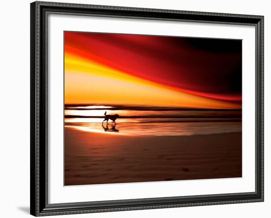 Dog at Sunset-Josh Adamski-Framed Photographic Print