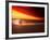 Dog at Sunset-Josh Adamski-Framed Photographic Print