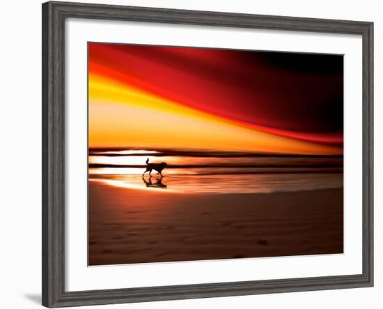 Dog at Sunset-Josh Adamski-Framed Photographic Print