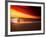 Dog at Sunset-Josh Adamski-Framed Photographic Print