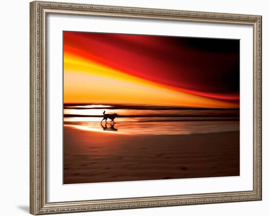 Dog at Sunset-Josh Adamski-Framed Photographic Print