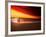 Dog at Sunset-Josh Adamski-Framed Photographic Print