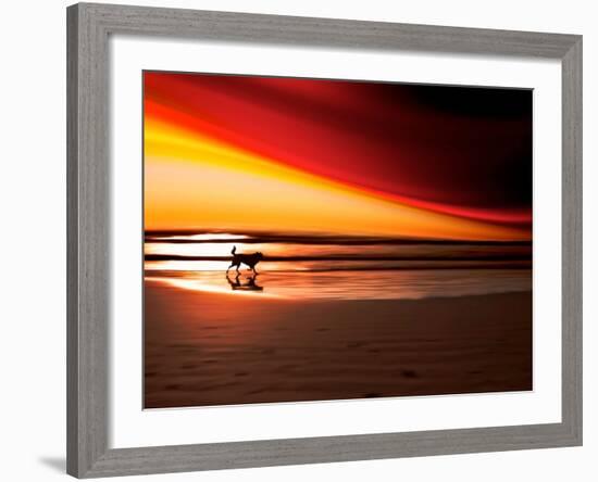 Dog at Sunset-Josh Adamski-Framed Photographic Print