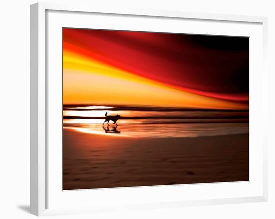 Dog at Sunset-Josh Adamski-Framed Photographic Print