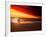 Dog at Sunset-Josh Adamski-Framed Photographic Print