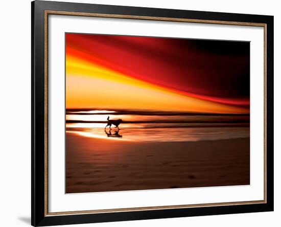 Dog at Sunset-Josh Adamski-Framed Photographic Print