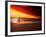 Dog at Sunset-Josh Adamski-Framed Photographic Print