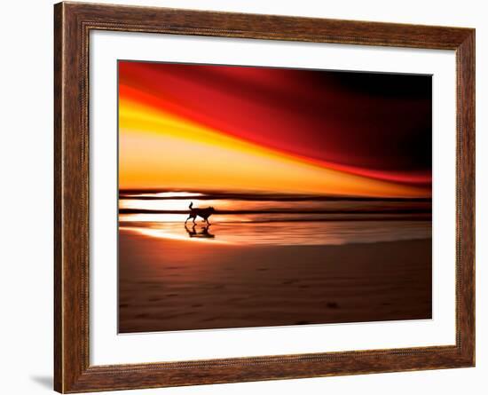 Dog at Sunset-Josh Adamski-Framed Photographic Print