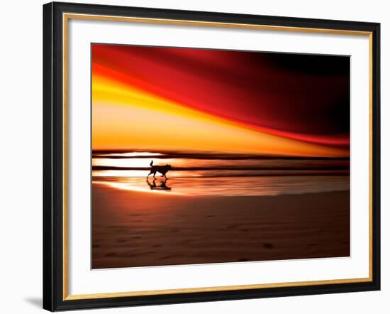 Dog at Sunset-Josh Adamski-Framed Photographic Print