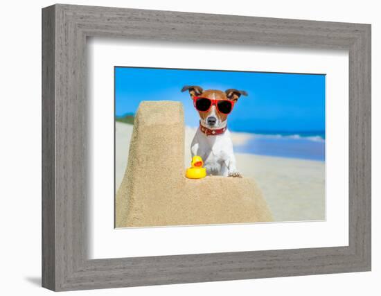 Dog at the Beach-Javier Brosch-Framed Photographic Print