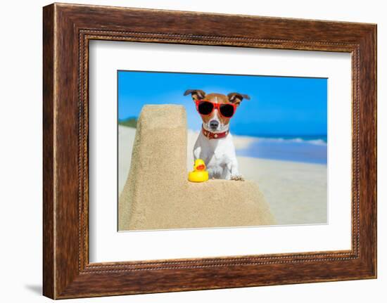 Dog at the Beach-Javier Brosch-Framed Photographic Print