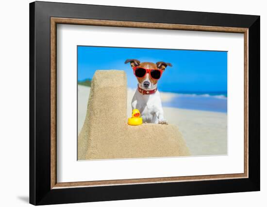 Dog at the Beach-Javier Brosch-Framed Photographic Print