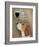 Dog Au Vin Beagle-Fab Funky-Framed Art Print