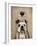 Dog Au Vin English Bulldog-Fab Funky-Framed Art Print