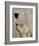Dog Au Vin Yellow Labrador-Fab Funky-Framed Art Print