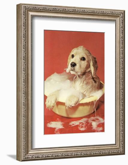 Dog Bathing in Plastic Basin-Found Image Press-Framed Photographic Print