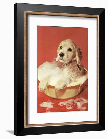 Dog Bathing in Plastic Basin-Found Image Press-Framed Photographic Print