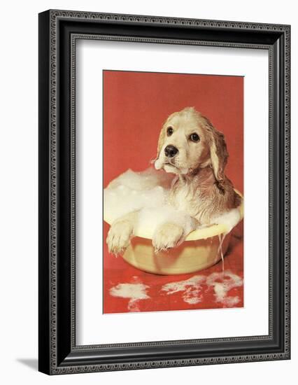 Dog Bathing in Plastic Basin-Found Image Press-Framed Photographic Print