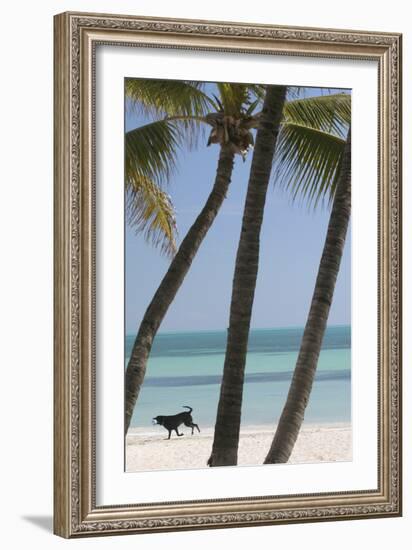 Dog Beach-Robert Goldwitz-Framed Photographic Print