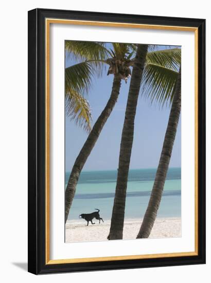 Dog Beach-Robert Goldwitz-Framed Photographic Print