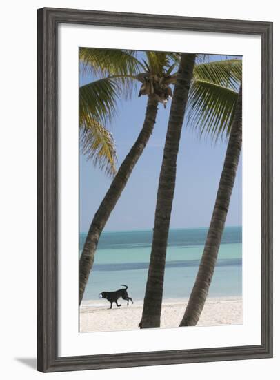 Dog Beach-Robert Goldwitz-Framed Photographic Print