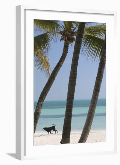 Dog Beach-Robert Goldwitz-Framed Photographic Print