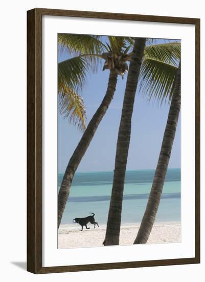 Dog Beach-Robert Goldwitz-Framed Photographic Print