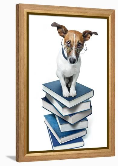 Dog Book Stack-Javier Brosch-Framed Premier Image Canvas