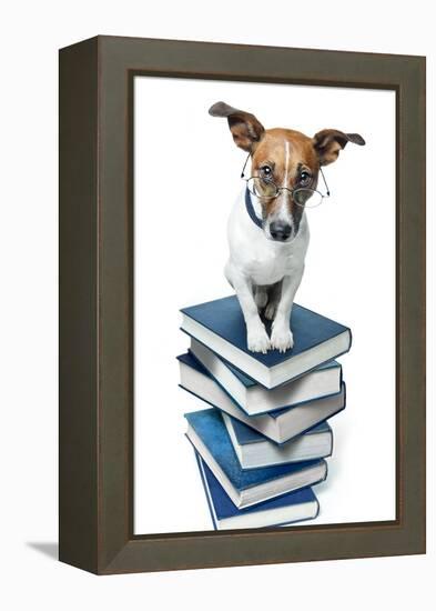 Dog Book Stack-Javier Brosch-Framed Premier Image Canvas