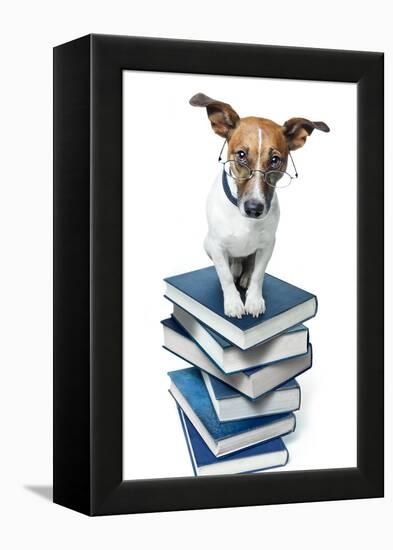 Dog Book Stack-Javier Brosch-Framed Premier Image Canvas