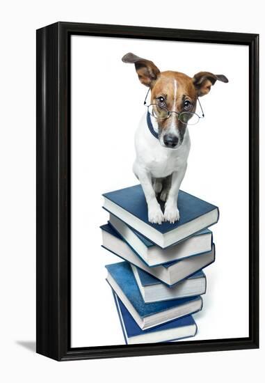 Dog Book Stack-Javier Brosch-Framed Premier Image Canvas