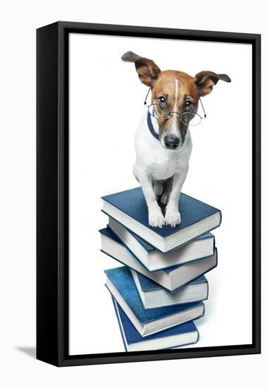 Dog Book Stack-Javier Brosch-Framed Premier Image Canvas