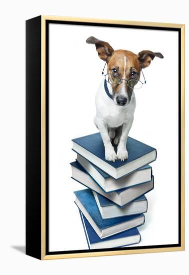 Dog Book Stack-Javier Brosch-Framed Premier Image Canvas