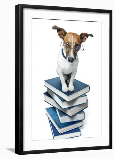 Dog Book Stack-Javier Brosch-Framed Photographic Print