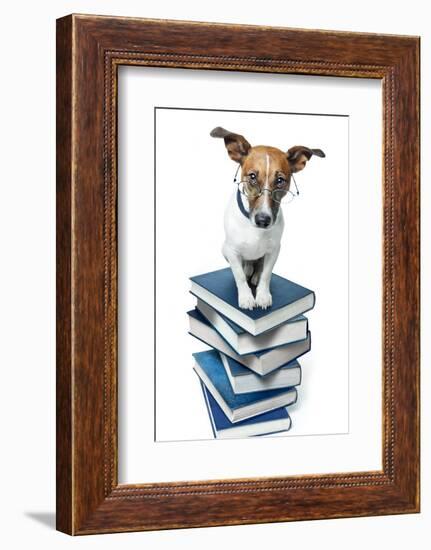 Dog Book Stack-Javier Brosch-Framed Photographic Print