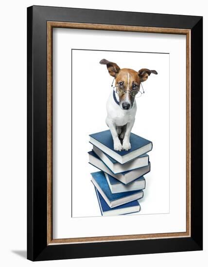 Dog Book Stack-Javier Brosch-Framed Photographic Print