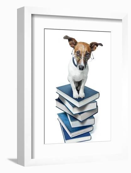 Dog Book Stack-Javier Brosch-Framed Photographic Print