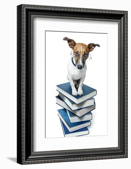 Dog Book Stack-Javier Brosch-Framed Photographic Print