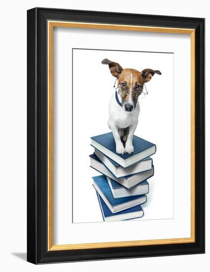 Dog Book Stack-Javier Brosch-Framed Photographic Print