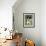 Dog, Border Collie, Lemgo, Germany-Thorsten Milse-Framed Photographic Print displayed on a wall