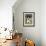 Dog, Border Collie, Lemgo, Germany-Thorsten Milse-Framed Photographic Print displayed on a wall