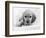 Dog Breeds - Cocker Spaniel - Puppies - English Cocker-Philippe Hugonnard-Framed Photographic Print