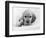 Dog Breeds - Cocker Spaniel - Puppies - English Cocker-Philippe Hugonnard-Framed Photographic Print