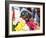 Dog Carrying Flowers at the Carnival in Funchal, Madeira, Portugal, Europe-Michael Runkel-Framed Photographic Print