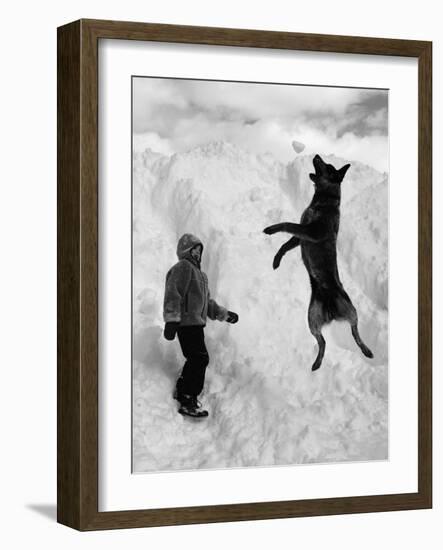 Dog Catching a Snowball-Karl Weatherly-Framed Photographic Print