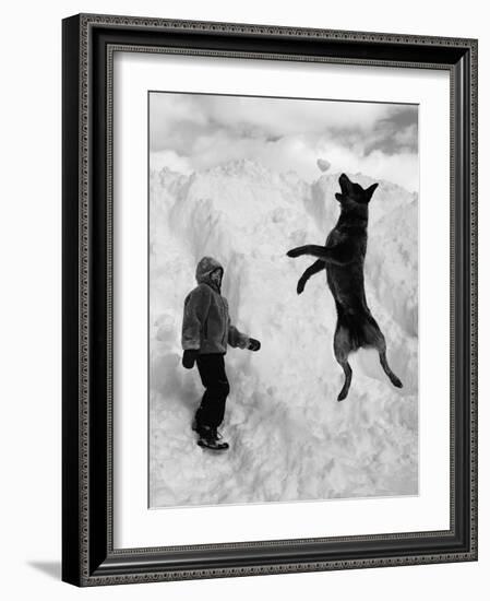 Dog Catching a Snowball-Karl Weatherly-Framed Photographic Print