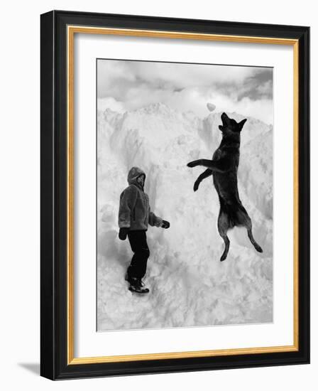 Dog Catching a Snowball-Karl Weatherly-Framed Photographic Print