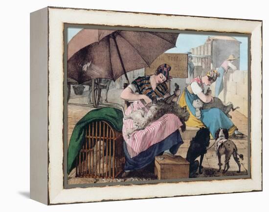 Dog Clippers on the Pont-Neuf, 1820 (Colour Litho)-John James Chalon-Framed Premier Image Canvas