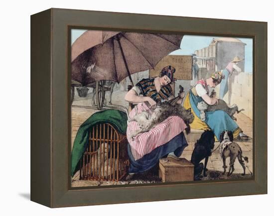 Dog Clippers on the Pont-Neuf, 1820 (Colour Litho)-John James Chalon-Framed Premier Image Canvas